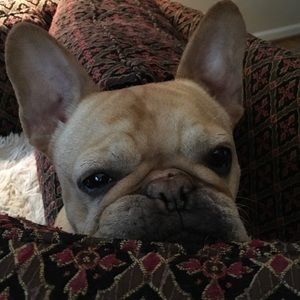 Meet your Posher, Beth